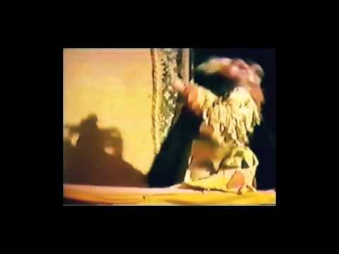 Bruce Schwartz- excerpt from Here Come the Puppets