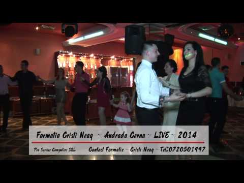 Formatia Cristi Neag - Andrada Cerna - Majorat Costy