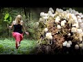 Nature ASMR Walking Into MUD And A SWAMP
