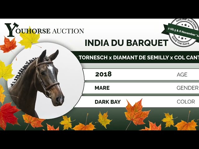 India du Barquet showvideo