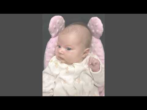 Dumitru Stancă- Delia