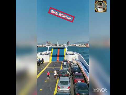 #shorts #boat_travel_to_athens #MOREVIEWS #fyp #youtubehashtags #getmoreviwes #lifestyl #hashtags