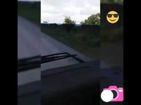 Volvo 550 FH16 trailer