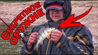 Окунь весной. ловля окуня весной