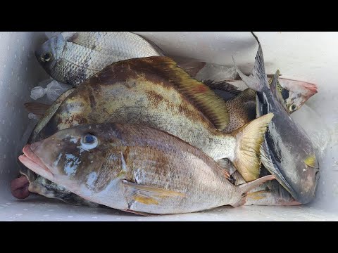 (DAYO SERYE)D1-P2-UNANG ARYA!