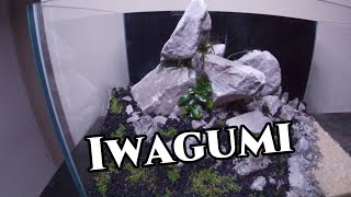 5 Gallon  Iwagumi Aquascape