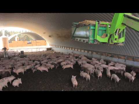 NZ Pork - Jens &amp Steve