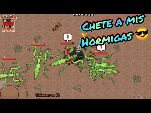 EVOLUCIONÈ A MIS HORMIGAS PA | POCKET ANTS Sim. Hormiguero