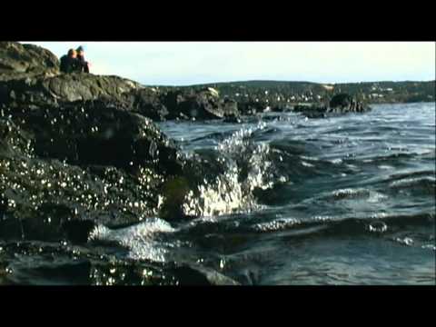 Mihai Toma - Tears of autumn