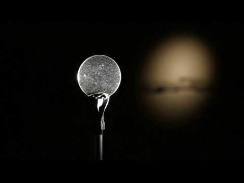 Jim Hobbs - Metronomes