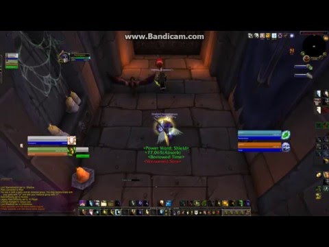 Disc Priest 1700xp+ | BM Hunter --VS -- Resto Druid | Dk  -  1337 MMR