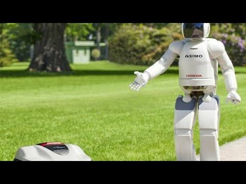 The Landroid, by Worx