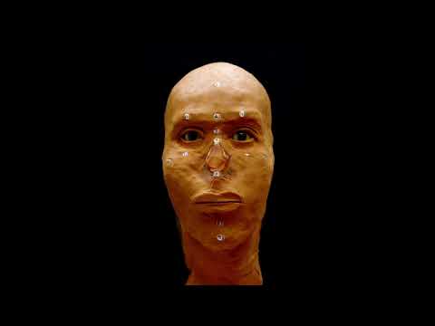 Forensic Art - Facial Reconstruction Timelapse