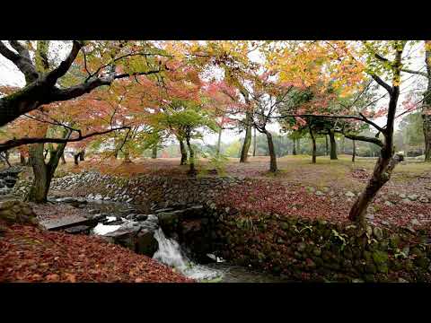 Arc north x rival x Laura brehm - end of time (best intro)