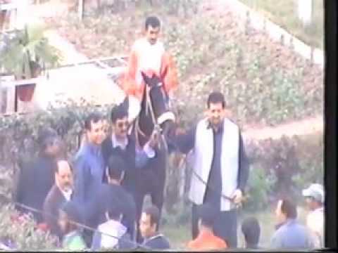 Lahore horse race club replay 6 race 4-12-2016