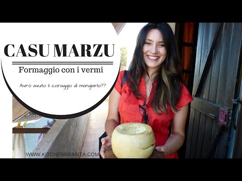 CASU MARZU, formaggio con i vermi - una tradizione sarda