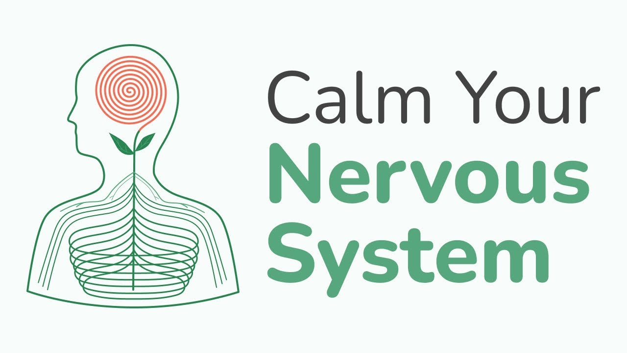 5 Steps To RESET Your Nervous System
