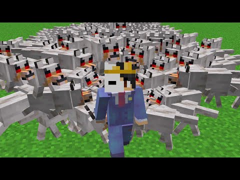 1,000 Dogs Vs Best Minecraft Player
