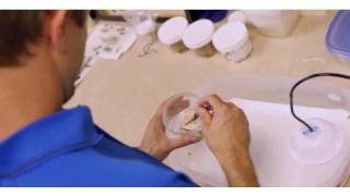 How to Kill Bed Bugs | Pest Control