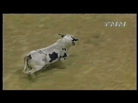 Panhandle Slim hooks Jimmy Anderson - 00 PBR Columbus, GA