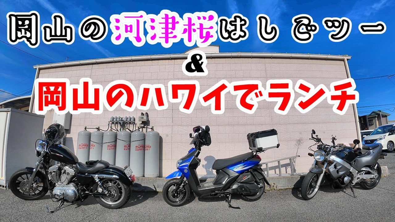 【モトブログ】岡山にハワイがあるんで！アロハドライブイン。そして河津桜はしごしてみた！児島湖花回廊＆倉敷川 河津桜。