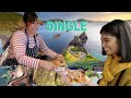 Beautiful And Wild DINGLE IRELAND Food Festival Scenes
