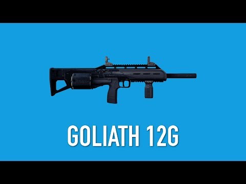 PAYDAY 2: Goliath 12G - Weapon Guide #4