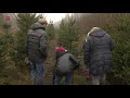 'Run' op kerstbomen in Kuinderbos