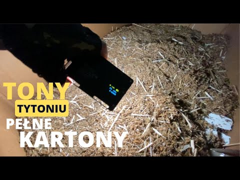 ABANDONED TOBACCO FACTORY - Urbex POV