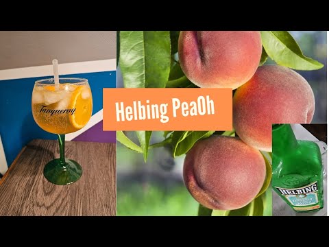 Helbing PeaOh - der frische Kümmelkick