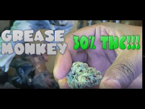 Grease Monkey Allbud