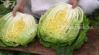 Download lagu LAPTOP SI UNYIL | ASUPAN DARI ALAM (11/01/18) PART 2 mp3