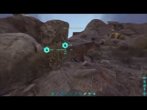 How To Tame A Hyaenodon In Ark