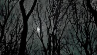 Sir Sly - Nowhere/Bloodlines Pt 1