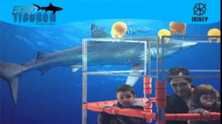 DIA 2 Expo Tiburon215