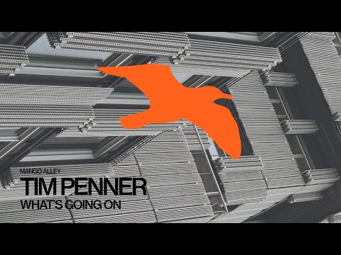 TIM PENNER What's Going On