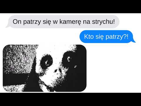 Ktoś jest na strychu | Cała historia