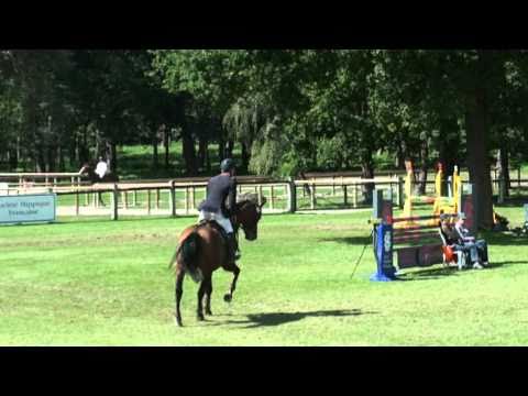 Contano (Contendro II)