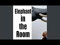 Elephant In The Room