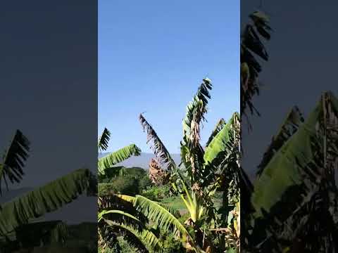 La cordillera desde lo alto..