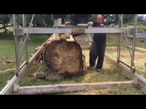 Milling a Giant Poplar log at Ruatoria