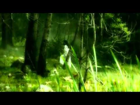 ИВАЙЛО ГЮРОВ - ЛЮБОВ (IVAILO GIUROV - LOVE)