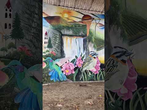 🤙🏻🇨🇴🤙🏻 Isnos, Huila❤️‍🔥 #juanoellaboyano  #colombia #huila #isnos