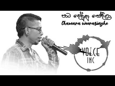 Paata Dedunu Sedila | පාට දේදුනු සේදීලා | Chamara Weerasinghe | @Voice Inc | Best Song Sinhala Cover