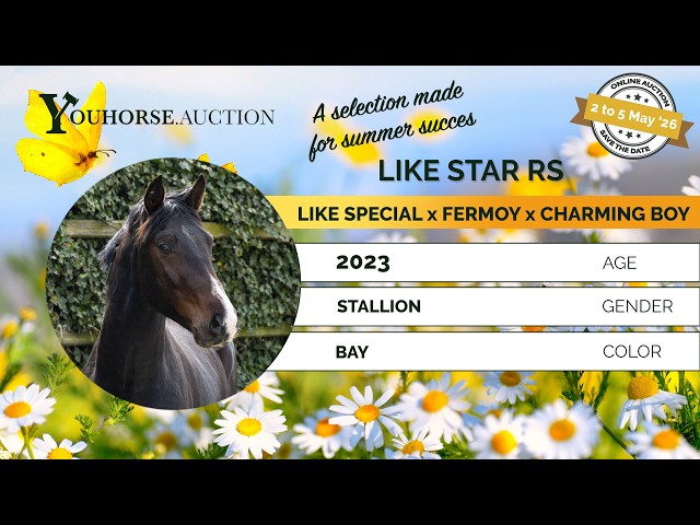 Like Star RS