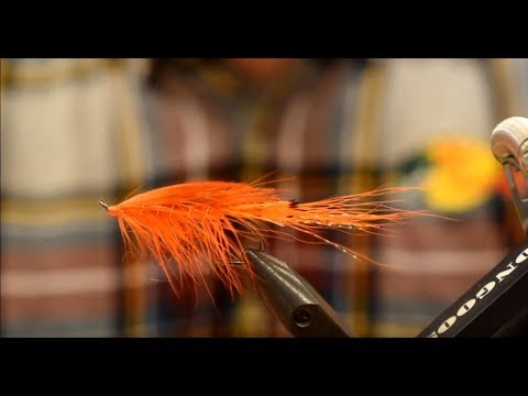 Friday Night Flies - General Practitioner