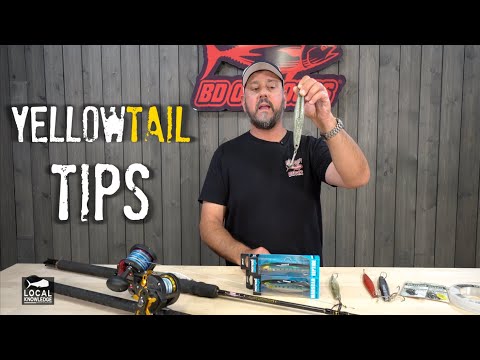 How to Catch YELLOWTAIL (Gear, Irons, Lures Explained!)