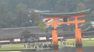 preview picture of video 'Japan B00027 33 Miyajima'