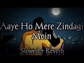 Aaye Ho Meri Zindagi Mein I Female Slowed Reverb LoFi I Mood 90 S