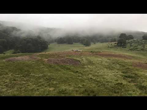 Pensiunea Poiana Cristian, Poiana Brasov